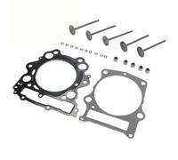 Kit De Joints Culasse Pour Yamaha Grizzly Raptor Rhino 660 660R 01-08