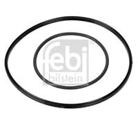 Kit de joints de pompe à vide CF (caoutchouc fluoré) 174463 FEBI BILSTEIN