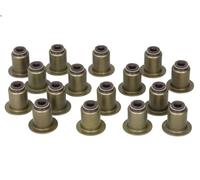 Kit de joints de queue de soupape REINZ 12-38539-01 pour FORD KUGA I 2 2008-2012