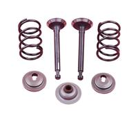 Kit de Joints de Tige de retenue de Ressort for Moteur de débroussailleuse GX25 HHT25S GX 25