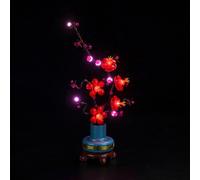 Kit de lumière pour Lego Plum Blossom 10369 (pas de Lego), kit d'éclairage décoratif pour Lego Icons Fleur de prunier Flower Decor Jouets créatifs
