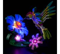 Kit de lumières LED compatible avec Lego 31384 Animaux sauvages : Hummingbird coloré (pas de modèle), kit d'éclairage décoratif compatible avec Lego Wild Animals : modèle de briques colorées