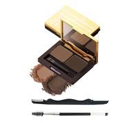 Kit de maquillage de poudre à sourcils, 2 couleurs imperméables, longue durée, palette de poudre teintée pour sourcils foncé/marron clair, cadeau professionnel pour femme avec pinceau à sourcils