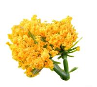 Kit de matériaux paysagers à faire soi-même avec tronc d'arbre et formes de fleurs pour bac à sable, projets de modélisme et création de scènes de jardin miniature (jaune)