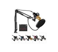 Kit de Microphone à condensateur d'enregistrement de studio de radiodiffusion professionnelle Micro tête ronde avec carte son externe-Noir + Or Noir G