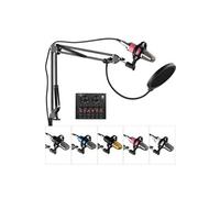 Kit de Microphone à condensateur d'enregistrement de studio professionnelle Micro tête plate avec carte son externe-Rose + Argent