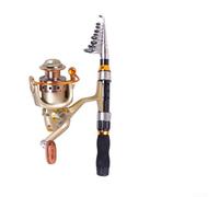 Kit de mini canne à pêche télescopique avec moulinet portable et léger pour voyage (noir, ensemble de 230 m)