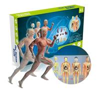 Kit de modèle d Anatomie du Corps Humain avec Organes et os Outil Apprentissage éducatif STEM à Assemblage Simple Fournitures pédagogiques Cadeau