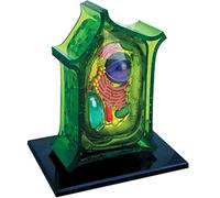 Kit de modèle de cellules végétales et animales 4D - Kit de sciences anatomiques amovibles en 26 parties avec base d'affichage | Outils pédagogiques de biologie pour étudiants et ressources