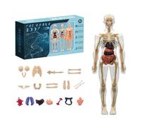Kit de modèle de squelette portable 2025, 29 structures du corps humain amovibles, modèle de structure du corps humain, Halloween, Noël, étudiants, enseignants, enfants (A)
