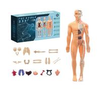 Kit de modèle de squelette portable 2025, 29 structures du corps humain amovibles, modèle de structure du corps humain, Halloween, Noël, étudiants, enseignants, enfants (B)