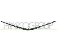 Kit De Modèles Décoratifs/Protecteurs, Grille De Radiateur TY3282216 PRASCO