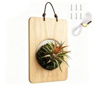 Kit de Montage pour Fougère Platycerium,Support en Bois Fougère Platycerium,Panier Support pour - Convient pour chambre, salon, porche, intérieur comme extérieur, maison, jardin, cour, balcon