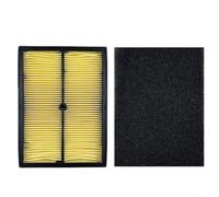 Kit de nettoyage de filtre à air pour moteurs Predator et Rato (670cc/739cc) - Préfiltre en mousse + élément en papier, remplace 17108-Z130110-0000, installation sans outil