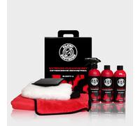Kit de nettoyage de voiture - Kit complet pour nettoyage extérieur avec nettoyant mousse, shampooing de voiture, insecticide, chiffon sec et accessoires - Pour tous ceux qui prennent soin de leur