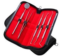 Kit de nettoyage dentaire pour la maison et la clinique - Outil de retrait de plaque dentaire et kit de construction des dents en acier inoxydable - Kit de réparation pour hommes, femmes, enfants et