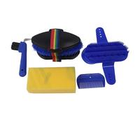 Kit de nettoyage pour écurie, 6 pièces, ensemble professionnel de toilettage équin comprenant une éponge, un peigne, un crochet à fer à cheval et une brosse d’écurie, pour un