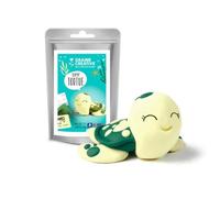 Kit de pâte à modeler - DTM Loisirs Creatifs - Tortue - Gris - 2x25 g
