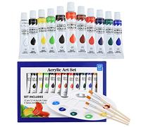 Kit de peinture acrylique 17 pièces pour enfants adultes débutants artistes professionnels Kit de peinture avec 4 pinceaux, 1 palette de 12 tubes de peinture acrylique pour toile, tissu, céramique