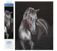 Kit de peinture au diamant, étalon de minuit