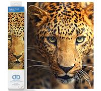 Kit de peinture au diamant, Jaguar Prowl