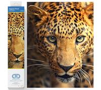 Kit de peinture au diamant, Jaguar Prowl