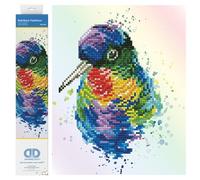 Kit de peinture au diamant, plumes arc-en-ciel