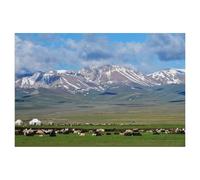 Kit de peinture de diamant de foretde 5D，Pâturage d'été, Song Kul, Kirghizistan，kits de peinture de strass de diamant de DIY pour des arts de broderie d'adultes décor à la maison（30 x 40 cm）-AG90