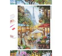 Kit de peinture de diamant DIY pour adultes, scène de rue de la boutique de fleurs de Paris, mosaïque d'art diamant 5D rond complet, décoration murale de la maison, cadeau pour débutants 20*30,30*40,4
