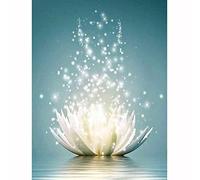 Kit de peinture diamant 5D à faire soi-même, 30 x 40 cm, lotus blanc 5D Arts and Crafts Point de croix Kit complet de broderie diamant pour décoration murale