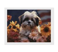 Kit de peinture diamant 5D à faire soi-même pour adultes et débutants - Motif chien Shih Tzu rond - Peinture à pois - Peinture diamant - Décoration murale pour la maison et le bureau - 30,5 x 40,6 cm