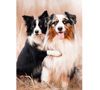 Kit De Peinture Diamant 5D,Berger australien Diamond Painting 30x40cm,Broderie Diamant Matériel d'art et d'artisanat idéal Maison Décoration Murale