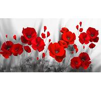 Kit de Peinture Diamant 5D,DIY Peinture Diamant,Diamond Painting Strass,Peinture de Broderie De Foret Complet,Broderie Diamant Kit Artisanat Décor Murale À La Maison Coquelicots rouges 50x70cm