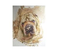 Kit de peinture diamant 5D, motif animal, chien Shar Pei, avec pinceaux, décorations, cadeaux, 30 x 40 cm
