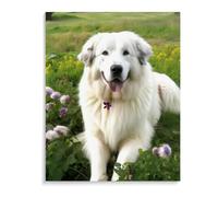 Kit de peinture diamant 5D pour adultes - Motif chien des Pyrénées - Décoration murale et cadeau - 50 x 60 cm - Sans cadre