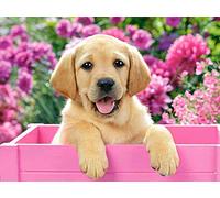 Kit de peinture diamant 5D pour enfants, Golden Retriever aux fleurs roses, peinture par numéros, peinture diamant pour adultes, décoration murale, 30 x 40 cm