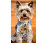 Kit de peinture diamant 5D pour enfants, Yorkshire Terrier, mignon chien, peinture par numéros, adultes, cadeaux d'anniversaire, 40 x 50 cm