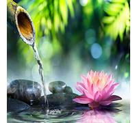 Kit de Peinture Diamant 5D, Round drill Lotus De Bambou 20x20cm Broderie Diamant,Peinture par numéro,Diamond Painting,Bricolage Plein Forage Cristal Strass Diamant Peinture,Décor Maison Cadeaux 8x8 in