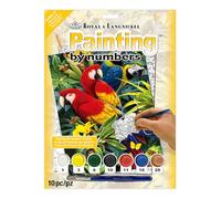 Kit de Peinture Diverse par Numéro Majestic Macaws, 22.2cm x 29.8cm, Multicolore