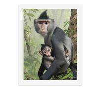 Kit de peinture numérique pour adultes - Motif singe mignon avec son bébé dans la forêt - Créez votre propre scène magique - Fournitures d'art sans cadre - 40 x 50 cm