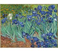 Kit de peinture par numéros pour adultes Fleurs d'iris par Van Gogh Kit de peinture à l'huile par numéros pour décoration d'intérieur Cadeaux