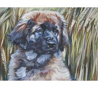 Kit de peinture sur toile à l'huile de remplissage bricolage par numéro Chien Leonberge Bricolage peinture par numéro Kits peinture à l'huile dessin toile décor à la maison cadeau