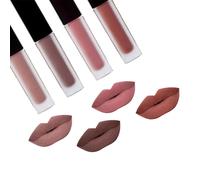 Kit De Pinces À Lèvres Mat Brillant 4 Pièces/Ensemble De Mini Kits De Maquillage Autocollants À Lèvres Longues Durables Offre Spéciale