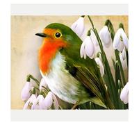 Kit De Pintura De Diamantes 5d Diy Para Niños, Pintura De Robin, Taladro Completo, Bordado De Diamantes De Imitación De Cristal, Imágenes, Arte Artesanal Para Decoración Del Hogar