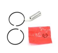 Kit de Piston de 33 mm for Tondeuse à Gazon TL26 TB26 2T 767, Ensemble de bagues de Cylindre et de goupilles de Serrage, Tondeuse à Bordures