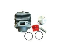 Kit de Piston de Cylindre de 48 mm avec vis de Joint, adapté au Moteur 423, pulvérisateur, brumisateur, Bague de Cylindre, Clips de Remplacement(with gaskets Screw)