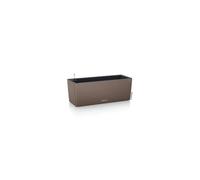 Lechuza BALCONERA Color 50 - muscade