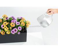 Kit de plantation en pot - LECHUZA - BALCONERA 50 - Polypropylene - Marron - Intérieur & extérieur