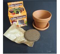 Kit de plantation plante carnivore - Cadeau Maestro