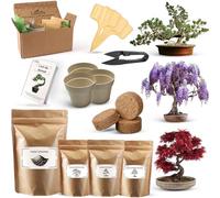 Kit De Plantation Pour Bonsais - Idéal Pour Cadeau Femme, Cadeau Homme, Cadeau Anniversaire Femme, Kit Jardinage Enfant - Cultivez Votre Propre Plante Bonsai Avec Facilité Et Élégance